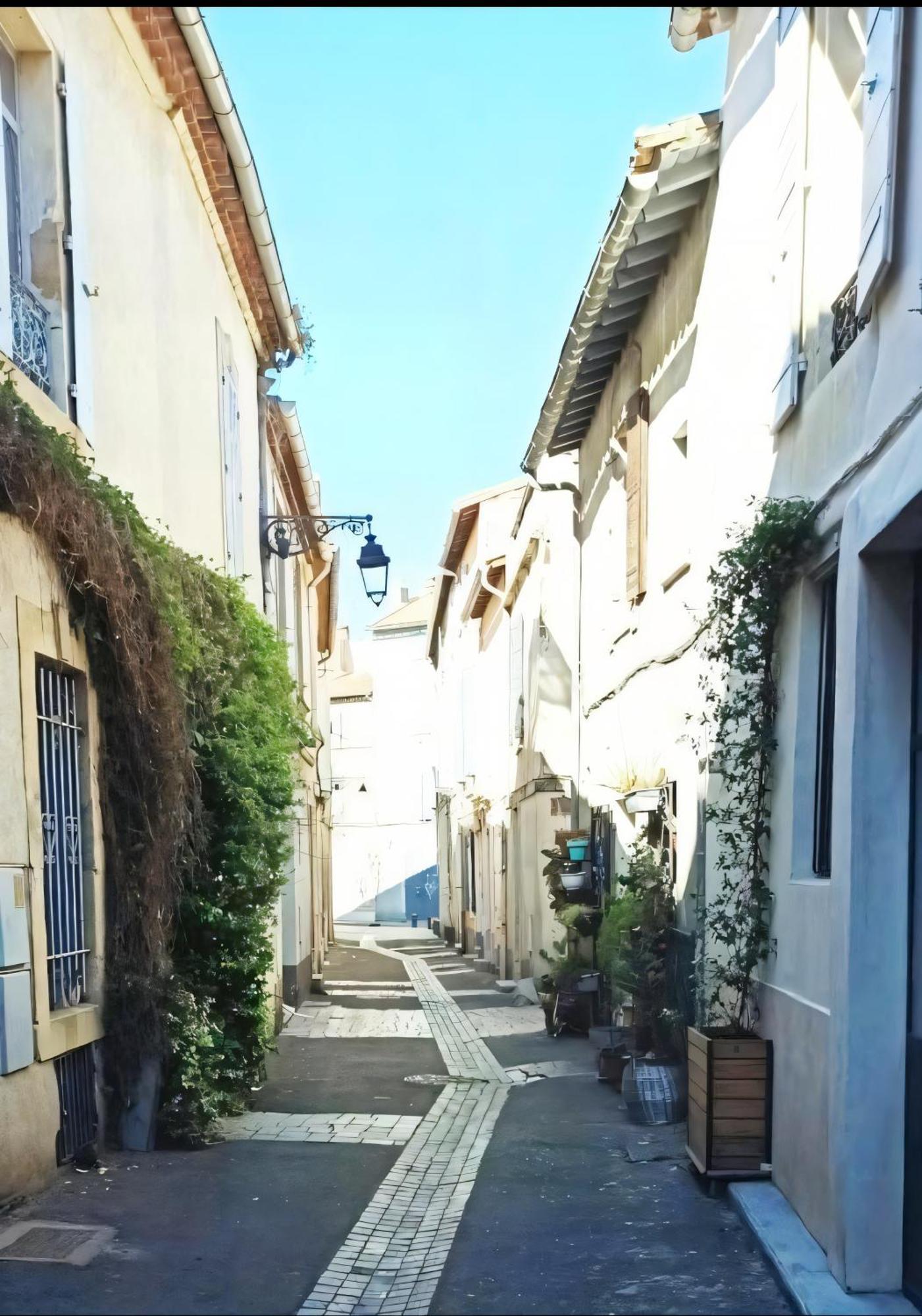 L'Appartement De La Roquette Centre Historique Arlés Exterior foto